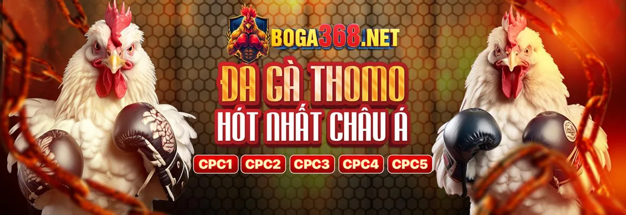 Đá Gà Trực Tuyến gh88 - Sân Chơi Hấp Dẫn